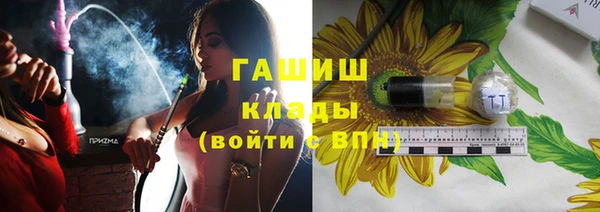 сатива Каменка