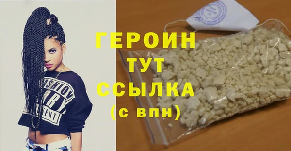 сатива Каменка