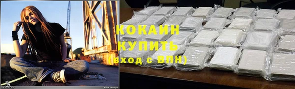 сатива Каменка