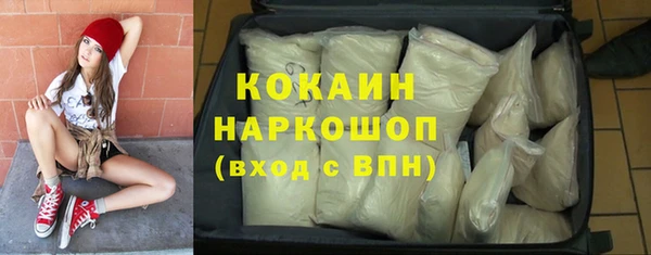 сатива Каменка