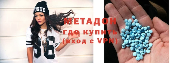 сатива Каменка