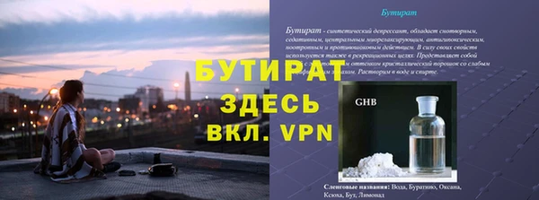 сатива Каменка