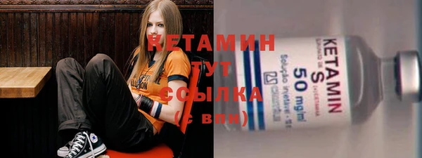 сатива Каменка