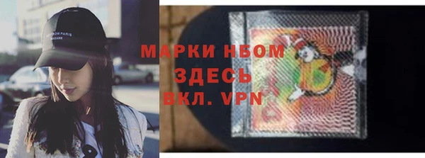 сатива Каменка