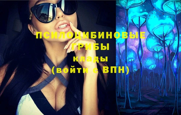 синтетический гашиш Каменск-Шахтинский