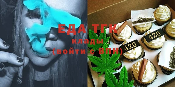 сатива Каменка