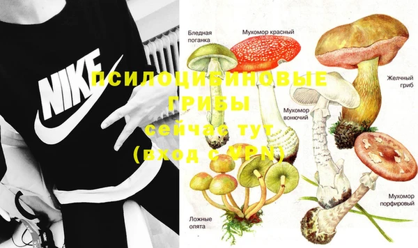 синтетический гашиш Каменск-Шахтинский