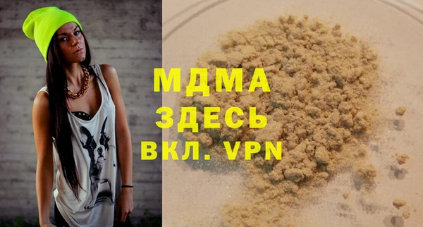 сатива Каменка