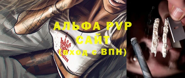 сатива Каменка