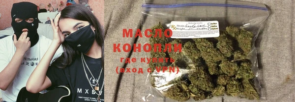 сатива Каменка