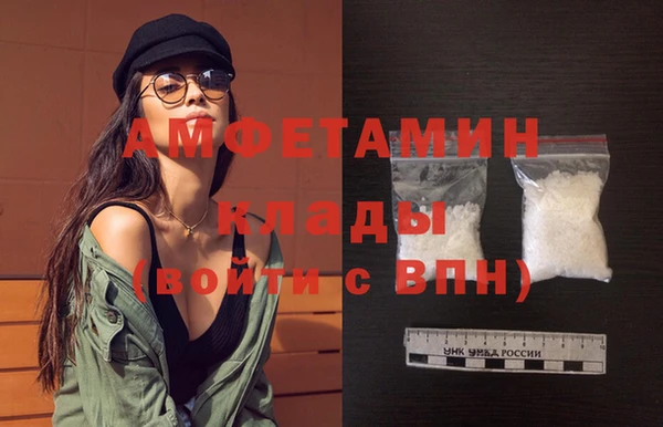 сатива Каменка