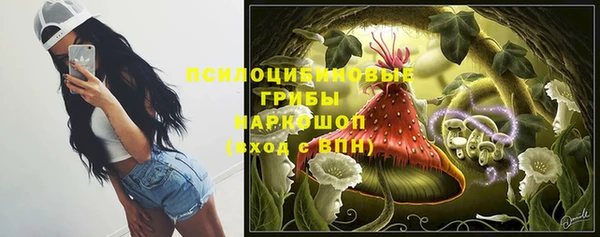 амф Каменногорск