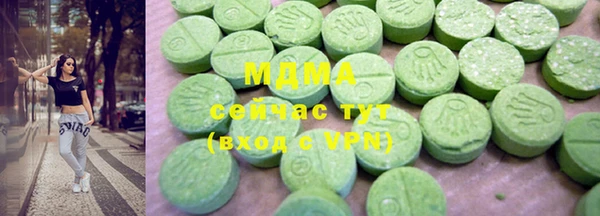 сатива Каменка