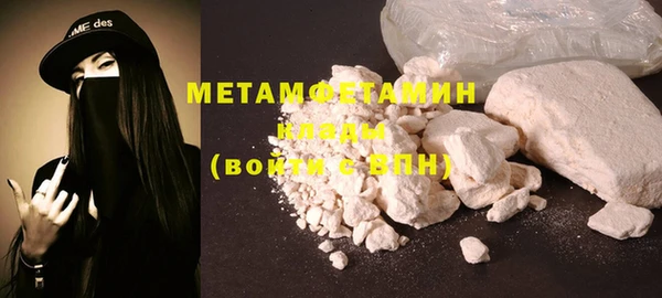 сатива Каменка
