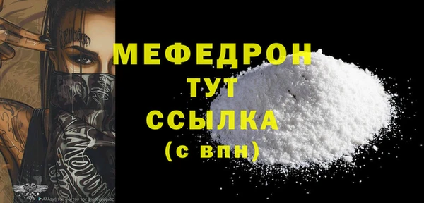 сатива Каменка